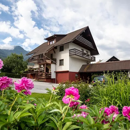 Kikelj * Bohinj
